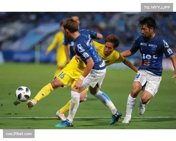 福冈黄蜂主场战绩稳健 成为抢分重要保障